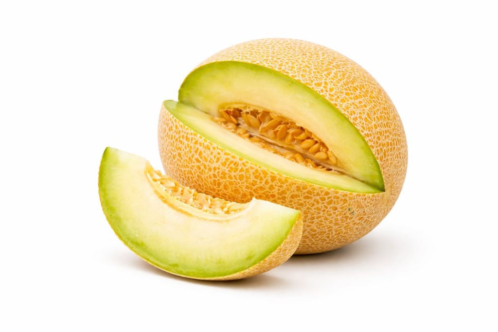 melon galia